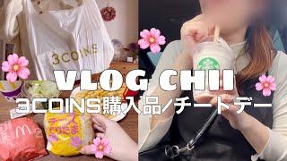 【主婦vlog】春をジャンキーに楽しんだ休日🐽3COINS購入品💸収納について💭30代パート主婦の日常🌸