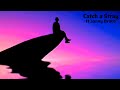 Aleck Da King - Catch a Stray[ft.Jonny Draco] (Official Lyric Video)