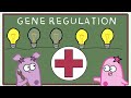 Gene Regulation and the Order of the Operon