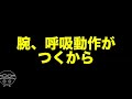 【平泳ぎ】キック【進めない人の共通点】苦手な方がよくやるパターン