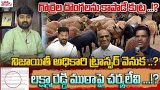 గొర్రెల దొంగలను కాపాడే కుట్ర..!? నిజాయితీ అధికారి ట్రాన్ఫర్ వెనుక ..? | Animal Husbandry Laxma Reddy