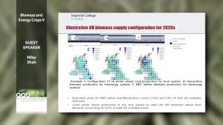 UK Bioenergy Value Chain Design: Nilay Shah