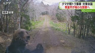 軽トラックを襲ったクマ　箱わなを設置し捕獲へ　「人身事故につながる危険」　北海道根室市