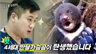 🎉첫 4세대 반달가슴곰이 탄생했습니다✨