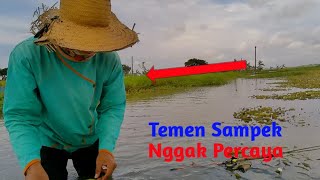 NEMU LOKASI YANG ISI NYA IKAN NILA GEDE GEDE SEMUA AKIBAT ORANG PADA NYEPELEKAN