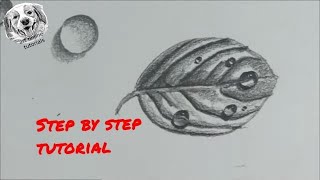 How to Draw Realistic Water Drops for Beginners DRAWING from Zero 3