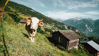 Suisse : un village pourrait payer 21.000 euros ses nouveaux habitants