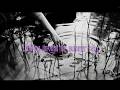 Dea Matrona - Summer Rain (Lyric Visualiser)