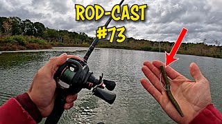 Back To BASS FISHING! | Rod-Cast Ep: 73