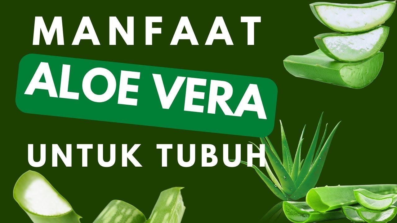 Manfaat Lidah Buaya Atau Aloe Vera Untuk Tubuh #aloevera #skincare2022 ...