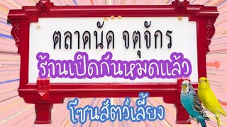 #ep27 #จตุจักร #โซนสัตว์เลี้ยง #ร้านเปิดแล้ว #นกหงส์หยก #นกเลิฟเบริ์ด #ซันคอนัวร์ #กรีนชิค