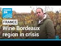 The Bordeaux region, in crisis, calls for help to pull out vines • FRANCE 24 English