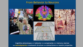 Recipe for a conspiracy theory. Memes and neuroscience