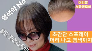 간단 커피 토너 +a  새머리 나고 밝은 멋내기 염색까지 흰머리 탈모 걱정 뚝 발모 #쇼츠 #shorts