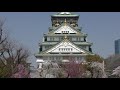 【桜満開！ 大阪城公園 2018】3 28（水） 4k 　午後