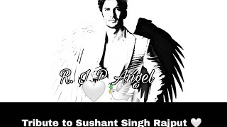 R.I.P Sushant Singh Rajput 🕊️🙏🤍 | Khairyat song || Tribute