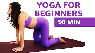 Yoga for Complete Beginners, with Rachel | Foundations of Yoga Tutorial, Easy to Do | 30 Minute