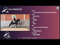 SCHWARZGOLD * REVOLUTION - Jet-black young star with heart and potential For Sale