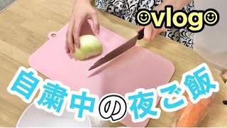 【vlog】とある日の大学生の夜ご飯【同棲カップル】