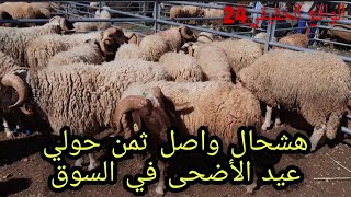 هشحال واصل ثمن الحولي عيد الأضحى في السوق