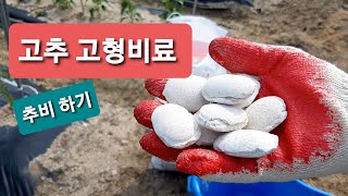 고추 고형비료 추비하기(고추, 토마토, 가지...)