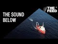 The Sound Below: The cost of seismic testing