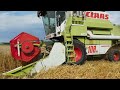 búza aratás 2022 wheat harvest 4x claas dominator 108 2x claas arion 640 2x fliegl asw 281