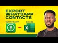 How to Export WhatsApp Group Contacts to Excel (In Seconds!)