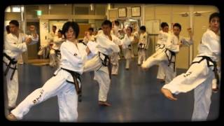 Dr. HAHM SEONG SHIK ITF-Japan Instructor Seminar July. 14. 2014 (함성식 국제사범 일본태권도협회 사범 세미나 지도 2014)