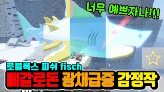 피쉬 메갈로돈 감정작 - 광채 금증 감별 Roblox Fisch