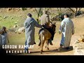 Gordon Ramsay Learns To Ride A Donkey | Gordon Ramsay: Uncharted