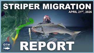 Striper Migration Report | April 21, 2026