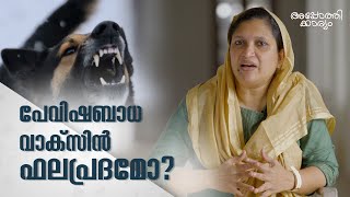 പേവിഷബാധ മരണം!!! l Rising Rabies Deaths? l Dr Zinia l Apothekaryam