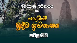 🔴 ඉන්දියානු ඉතිහාසය හා  හෙළබිමේ බුද්ධ ඉතිහාසය පටලැවීම | 🙏 මීවනපලානේ සිරිධම්මාලංකාර මහතෙරුන් වහන්සේ