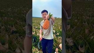 How to cut a pineapple like a pro 😋🍍🍍🍍#pineapple fruit #cutting fruit# shorts