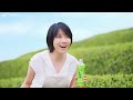 有村架純、茶畑で叫ぶ「お～い、しい♪」　お～いお茶新tvcm『お～い、しい！』編公開