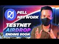 Pell Network Testnet Airdrop | ENDING SOON | Airdrop Guide | FREE TO JOIN | WEB3 BROTHERS