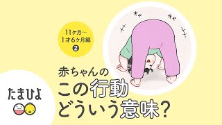 【生後11～1歳6ケ月ごろ】赤ちゃんの謎しぐさ＆行動解明図鑑＜2＞【たまひよ公式】