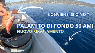 PALAMITO DI FONDO 50 ami |nuovo regolamento  2024|