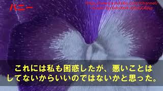 【スカッとする話】駆け落ちして音信不通だった兄が、突然、実家に帰ってきた「助けてくれ！」→さらに、今度は妊婦が訪ねてきて「あの、実は私…」