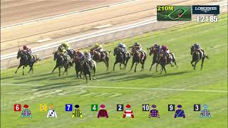 [HKIR 2021] LONGINES Hong Kong Mile Replay