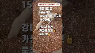 명품배합토. 잎꽂이흙 10키로 배송비포함 각. 15000원  방문구매시 1만원 이천하은다육농장 010 5376 7527 #다육식물