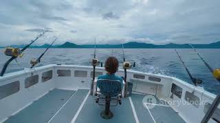 Ocean's Bounty  The Astonishing Scale of fish production.