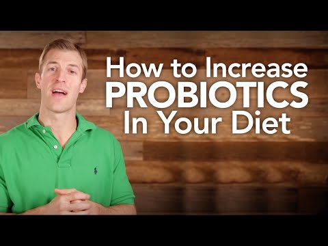 How to Increase Probiotics in Your Diet How to Increase Probiotics in Your Diet