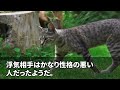 【スカッとする話】夫「浮気相手との子供ができたから離婚してくれ」私「何で堂々とそんな事が言えるの？」夫「子供ができない女は嫁として見れないわ」 離婚して数年後 → 衝撃の事実に夫が絶句…【修羅場】