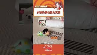 這也太可愛了吧，簡直學的一模一樣#人類幼崽 #可愛 #蠟筆小新 #模仿