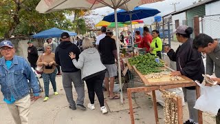 Feria Agropecuaria en Cuba Sábado en el pueblo de Caibarién provincia de Villa Clara 25-1-2025