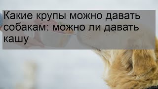 Какие крупы можно давать собакам: можно ли давать кашу