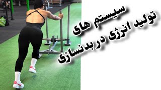 یکی از مهمترین بخش های برنامه نویسی بدنسازی