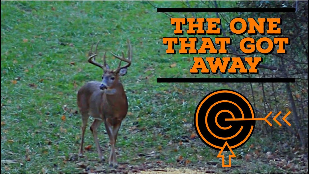 When Bow Hunting Goes Wrong Low Hit On Big Ohio Whitetail Youtube